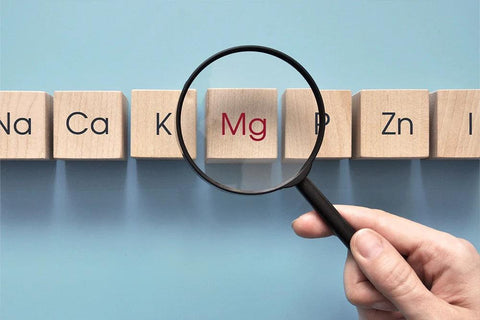 Die verschiedenen Formen von Magnesium: Bisglycinat und Malat, welche soll man wählen?